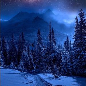 Meet your Posher, George